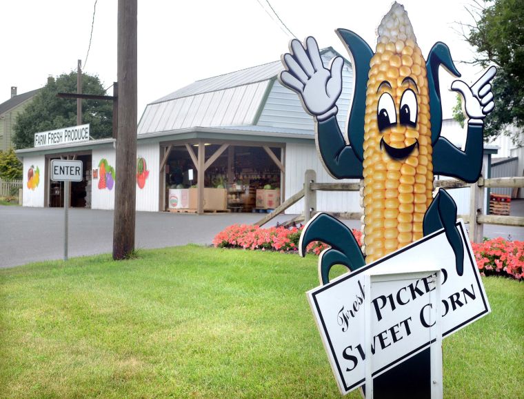 Reiffs Farm Market 7.jpg